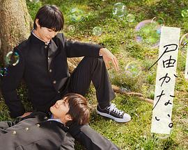 密探全集海报剧照