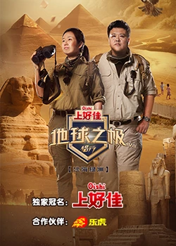 王俪丁小野猫海报剧照