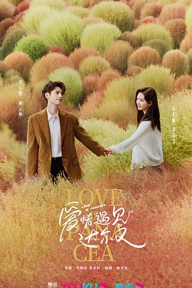 珠江集团有限公司海报剧照