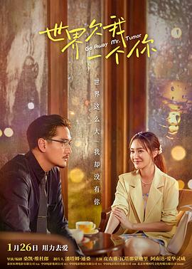 打斗激烈的海报剧照